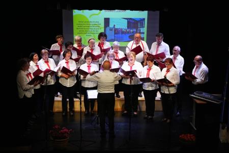 25 let MePZ DU Mirna, foto Pep (18)